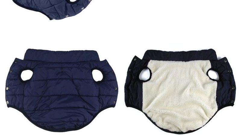 广州厂用冷水机哪家好